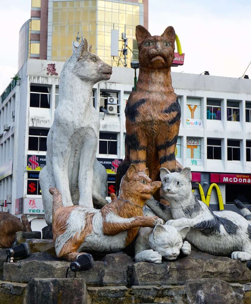 Visiting the World's Largest Cat Museum - Adventurous Pursuits